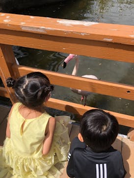 神戸どうぶつ王国に投稿された画像（2021/8/22）