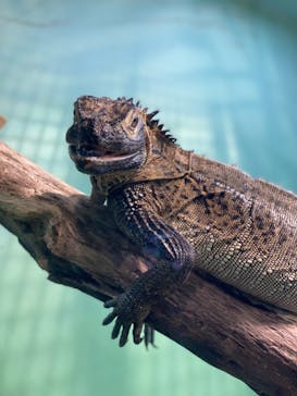 サンシャイン水族館に投稿された画像（2021/8/22）