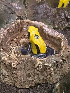 サンシャイン水族館に投稿された画像（2021/8/22）