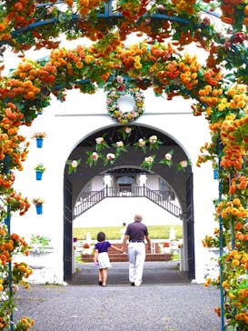 野外民族博物館 リトルワールドに投稿された画像（2021/8/22）