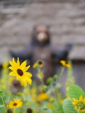 野外民族博物館 リトルワールドに投稿された画像（2021/8/22）