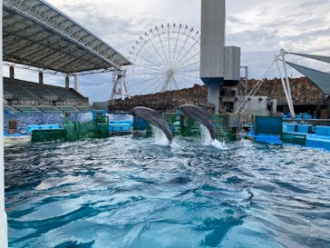 名古屋港水族館に投稿された画像（2021/8/22）