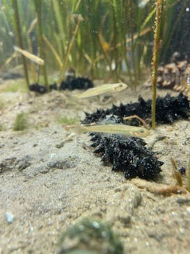名古屋港水族館に投稿された画像（2021/8/22）