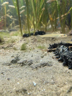 名古屋港水族館に投稿された画像（2021/8/22）