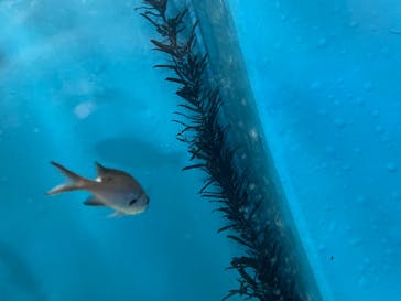 名古屋港水族館に投稿された画像（2021/8/22）