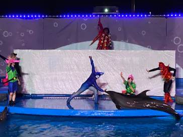 仙台うみの杜水族館に投稿された画像（2021/8/22）