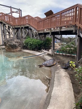 新江ノ島水族館に投稿された画像（2021/8/22）