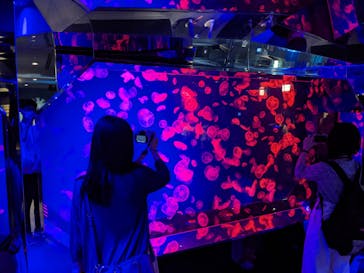 名古屋港水族館に投稿された画像（2021/8/22）