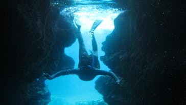 ズミヤーに投稿された画像（2021/8/22）