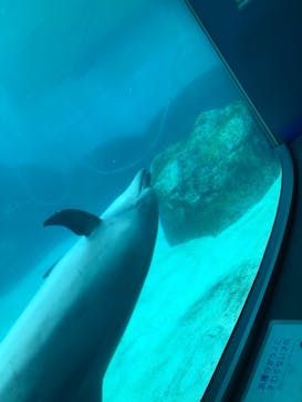 名古屋港水族館に投稿された画像（2021/8/22）