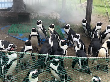 名古屋港水族館に投稿された画像（2021/8/22）