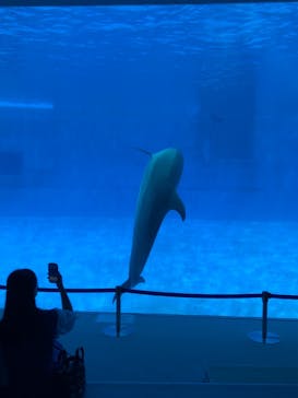 名古屋港水族館に投稿された画像（2021/8/22）