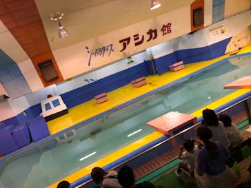 ゼロ距離水族館 伊勢シーパラダイスに投稿された画像（2021/8/22）