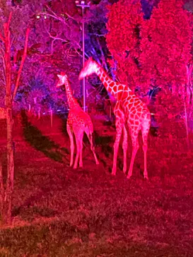 天王寺動物園に投稿された画像（2021/8/22）