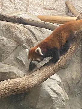 天王寺動物園に投稿された画像（2021/8/22）