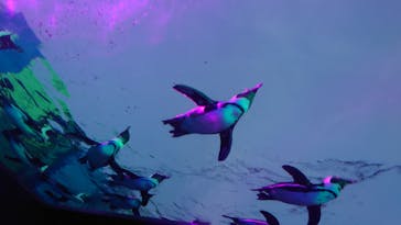 サンシャイン水族館に投稿された画像（2021/8/22）