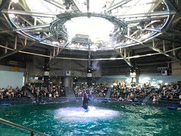 マクセル アクアパーク品川に投稿された画像（2021/8/22）