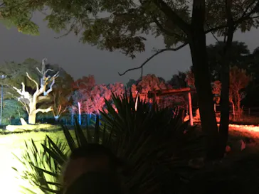 天王寺動物園に投稿された画像（2021/8/22）