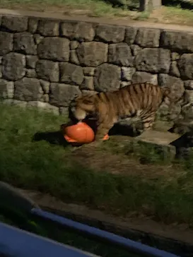 天王寺動物園に投稿された画像（2021/8/22）