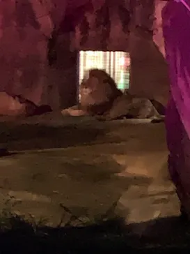 天王寺動物園に投稿された画像（2021/8/22）