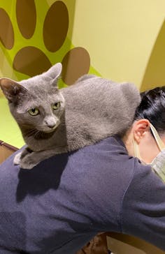 Moff animal world MARK IS みなとみらい店に投稿された画像（2021/8/22）