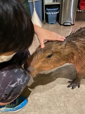 Moff animal world MARK IS みなとみらい店に投稿された画像（2021/8/22）