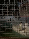 天王寺動物園に投稿された画像（2021/8/22）