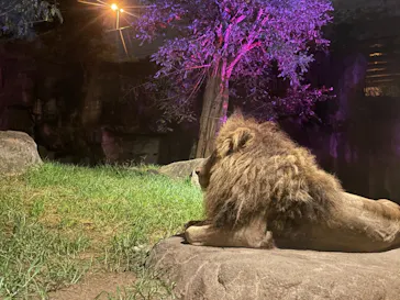 天王寺動物園に投稿された画像（2021/8/22）