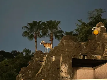 天王寺動物園に投稿された画像（2021/8/22）