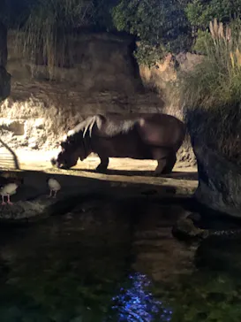 天王寺動物園に投稿された画像（2021/8/22）