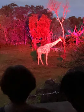 天王寺動物園に投稿された画像（2021/8/22）