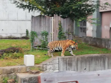 天王寺動物園に投稿された画像（2021/8/22）