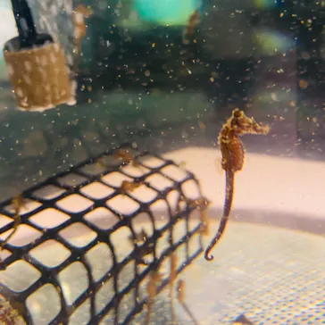 仙台うみの杜水族館に投稿された画像（2021/8/22）
