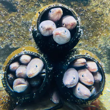 仙台うみの杜水族館に投稿された画像（2021/8/22）