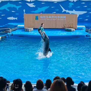 仙台うみの杜水族館に投稿された画像（2021/8/22）