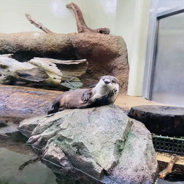 仙台うみの杜水族館に投稿された画像（2021/8/22）