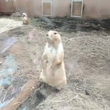 横浜・八景島シーパラダイスに投稿された画像（2021/8/22）