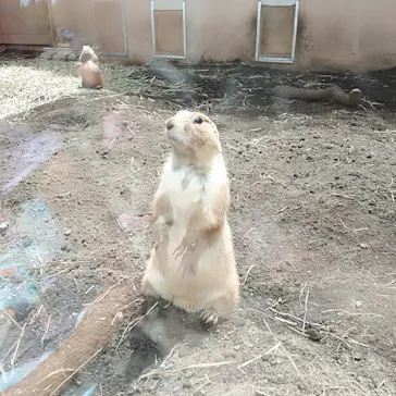 横浜・八景島シーパラダイスに投稿された画像（2021/8/22）