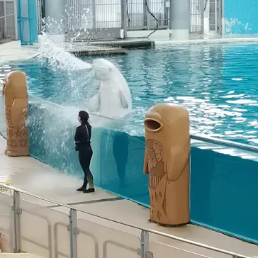 横浜・八景島シーパラダイスに投稿された画像（2021/8/22）