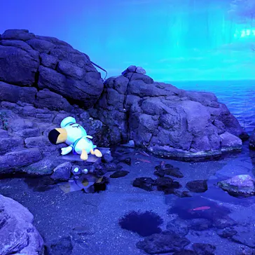 横浜・八景島シーパラダイスに投稿された画像（2021/8/22）