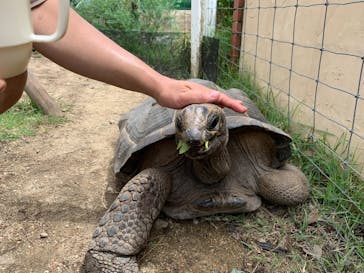 神戸どうぶつ王国に投稿された画像（2021/8/22）