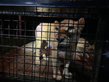 那須サファリパークに投稿された画像（2021/8/22）