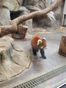 天王寺動物園に投稿された画像（2021/8/22）