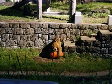 天王寺動物園に投稿された画像（2021/8/22）