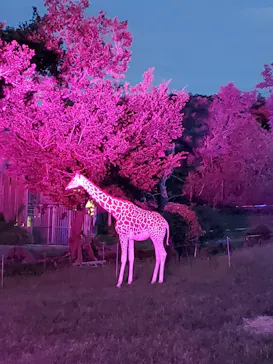 天王寺動物園に投稿された画像（2021/8/22）