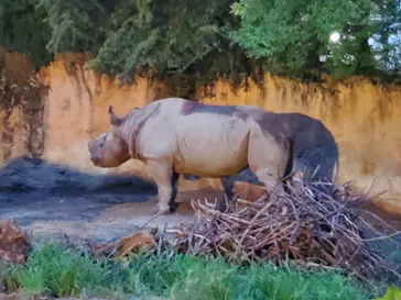 天王寺動物園に投稿された画像（2021/8/22）