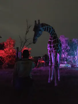 天王寺動物園に投稿された画像（2021/8/22）