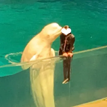 横浜・八景島シーパラダイスに投稿された画像（2021/8/22）