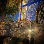 天王寺動物園に投稿された画像（2021/8/23）