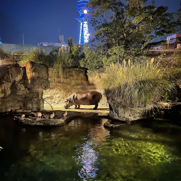 天王寺動物園に投稿された画像（2021/8/22）